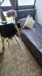 Simei Green Condominium (D18), Condominium #574587261